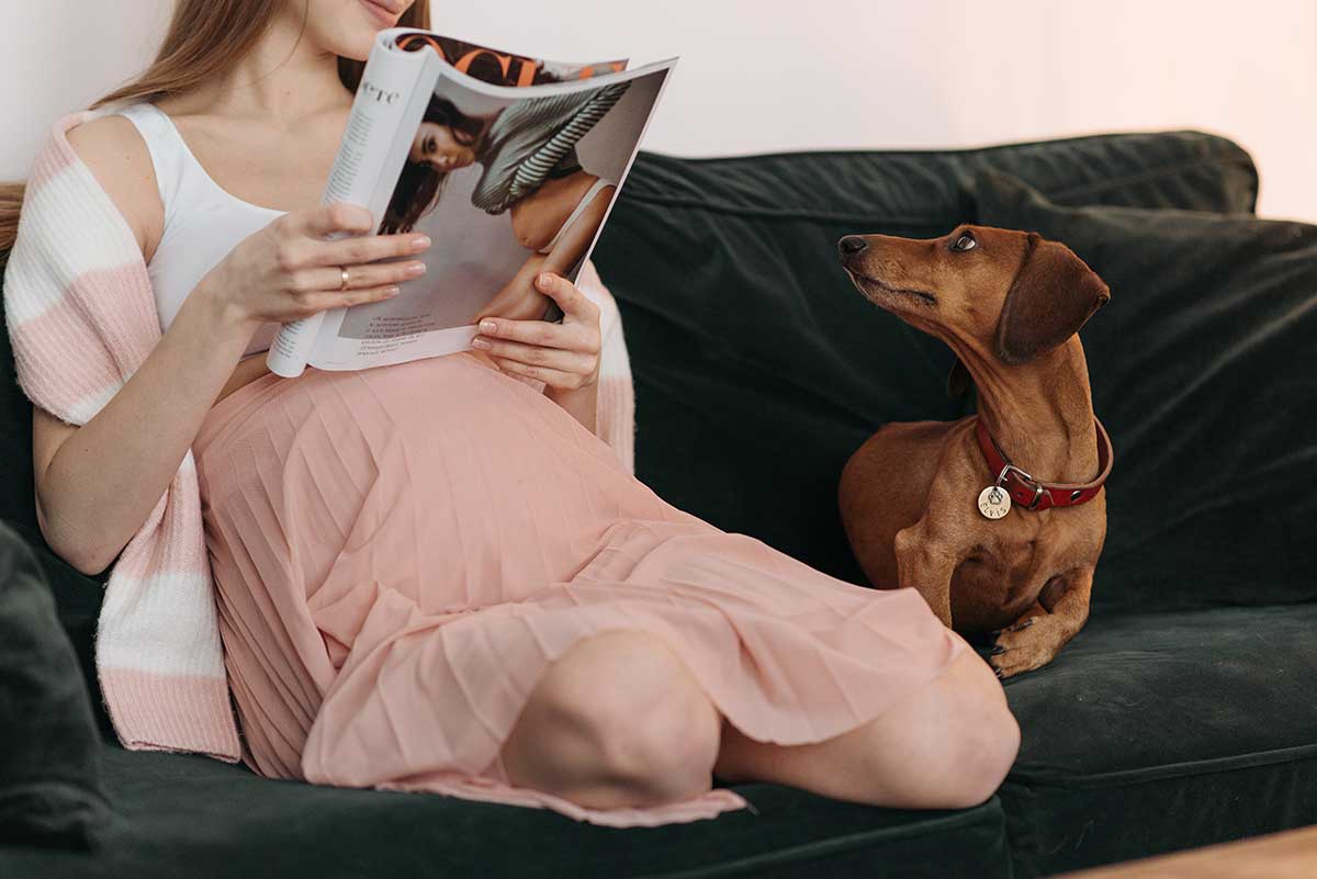 Harmony at Home: Navigating Pregnancy with Family Pets